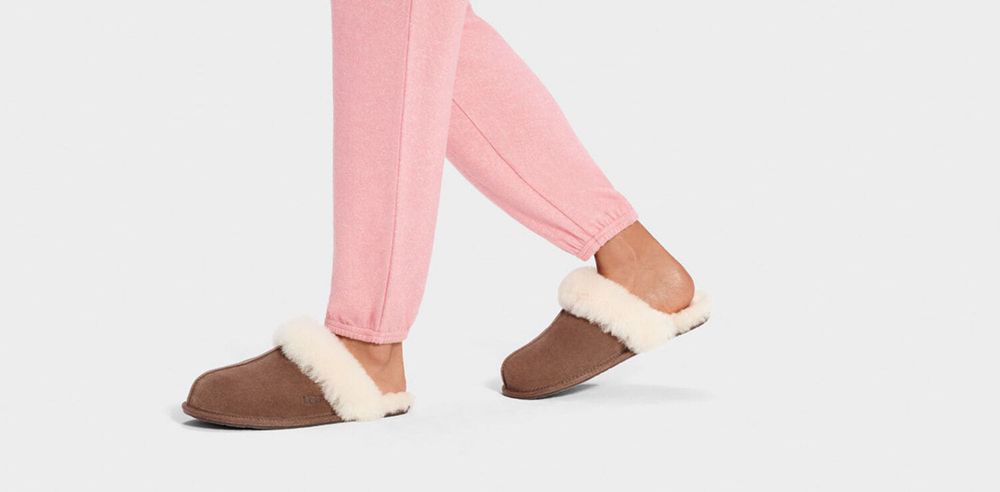 Ugg Slippers Canada - Ugg Women's Scuffette Ii Chocolate